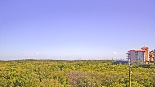 Weather camera view of WTSP-TV.