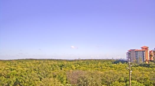 Weather camera view of WTSP-TV.