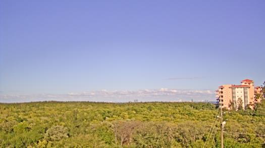 Weather camera view of WTSP-TV.