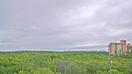 Weather camera view of WTSP-TV.