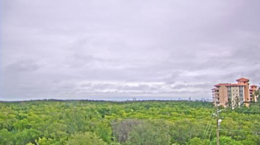 Weather camera view of WTSP-TV.