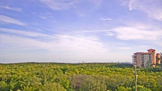 Weather camera view of WTSP-TV.