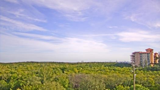 Weather camera view of WTSP-TV.