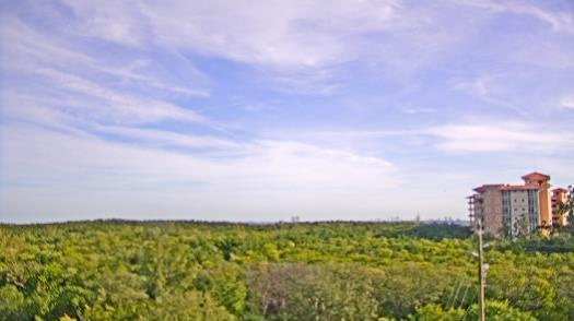 Weather camera view of WTSP-TV.