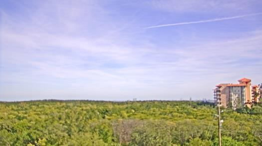 Weather camera view of WTSP-TV.