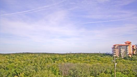 Weather camera view of WTSP-TV.