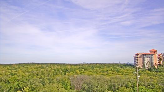 Weather camera view of WTSP-TV.