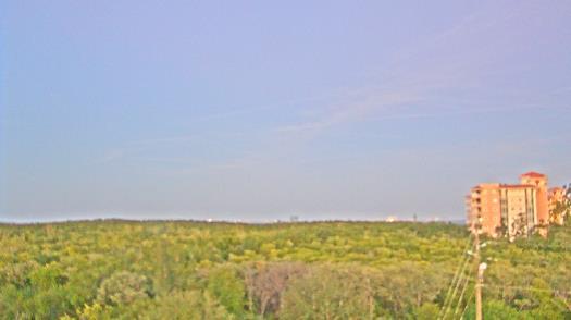 Weather camera view of WTSP-TV.