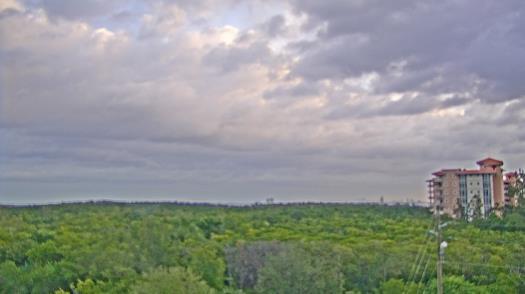 Weather camera view of WTSP-TV.