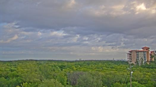 Weather camera view of WTSP-TV.