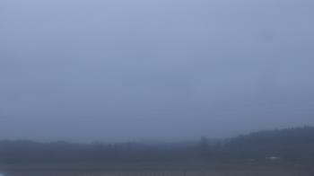 Weather camera view of City of Banks Public Library.