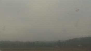 Weather camera view of City of Banks Public Library.