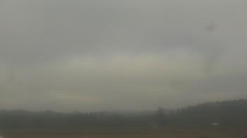 Weather camera view of City of Banks Public Library.