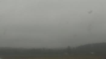 Weather camera view of City of Banks Public Library.