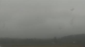 Weather camera view of City of Banks Public Library.