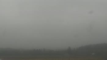 Weather camera view of City of Banks Public Library.