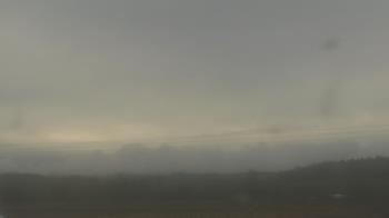 Weather camera view of City of Banks Public Library.