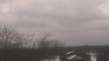 Weather camera view of St Ambrose School.