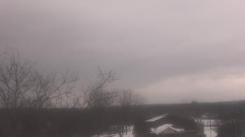 Weather camera view of St Ambrose School.