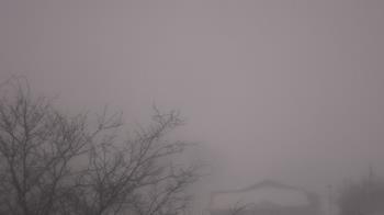 Weather camera view of St Ambrose School.