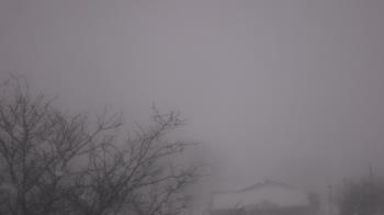 Weather camera view of St Ambrose School.