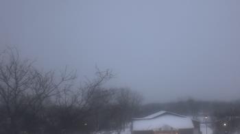Weather camera view of St Ambrose School.
