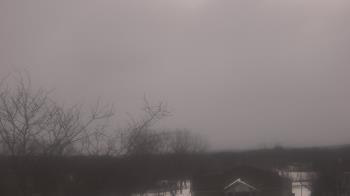 Weather camera view of St Ambrose School.