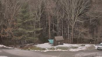 Weather camera view of John Dorr Nature Lab-Horace Mann School.