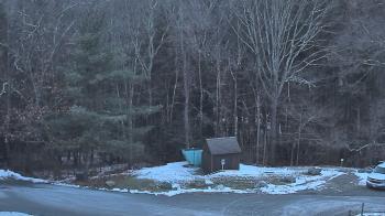 Weather camera view of John Dorr Nature Lab-Horace Mann School.