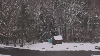 Weather camera view of John Dorr Nature Lab-Horace Mann School.