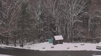 Weather camera view of John Dorr Nature Lab-Horace Mann School.