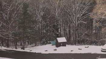 Weather camera view of John Dorr Nature Lab-Horace Mann School.