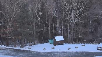 Weather camera view of John Dorr Nature Lab-Horace Mann School.