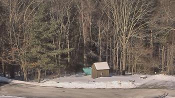 Weather camera view of John Dorr Nature Lab-Horace Mann School.