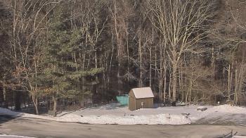 Weather camera view of John Dorr Nature Lab-Horace Mann School.