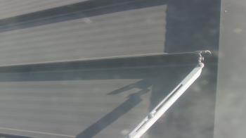 Weather camera view of Pirates Bay Water Park.