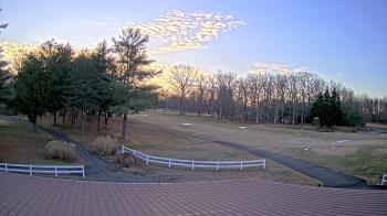 Weather camera view of White Plains Regional Park.