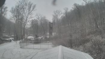 Weather camera view of Camp Guyasuta.