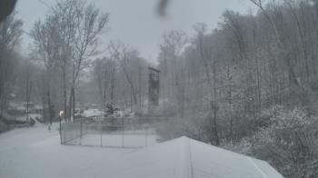 Weather camera view of Camp Guyasuta.