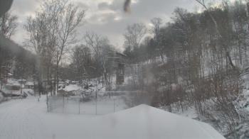 Weather camera view of Camp Guyasuta.