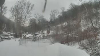 Weather camera view of Camp Guyasuta.