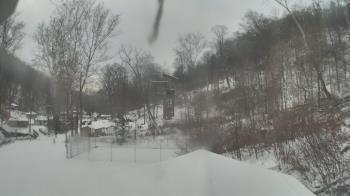 Weather camera view of Camp Guyasuta.