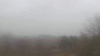 Weather camera view of Walkers Bluff.