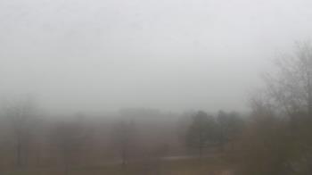 Weather camera view of Walkers Bluff.