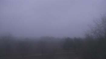 Weather camera view of Walkers Bluff.