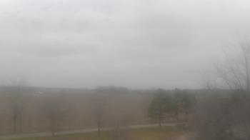 Weather camera view of Walkers Bluff.