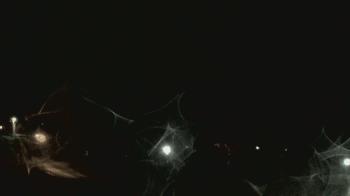 Weather camera view of Crawfordsville MS.