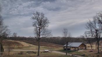 Weather camera view of Dodon Vineyards.