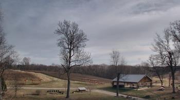 Weather camera view of Dodon Vineyards.