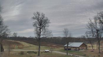 Weather camera view of Dodon Vineyards.